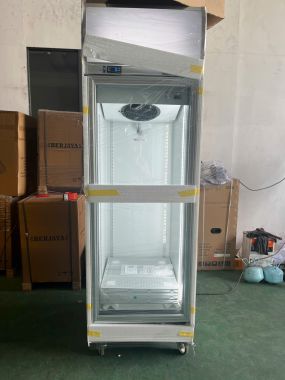 1D/DF-SM-EV: TỦ ĐÔNG TRƯNG BÀY 1 CÁNH KIẾNG