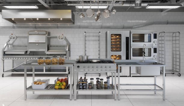 GIỚI THIỆU VỀ HANSA :